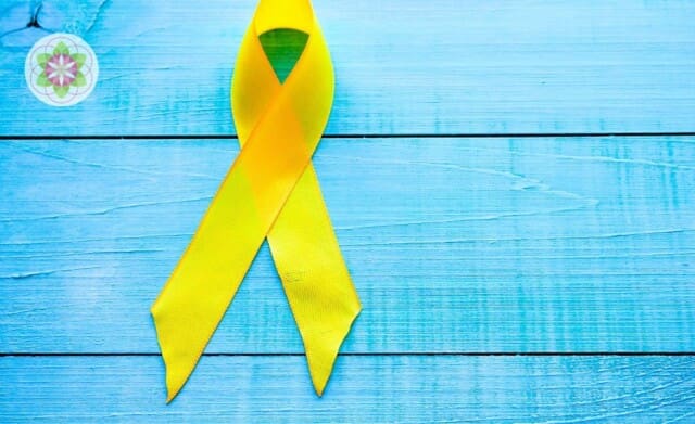 Indigo’s en zelfdoding