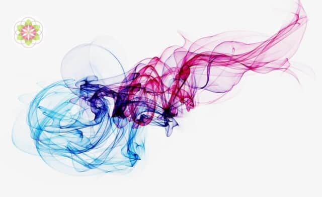 Wanneer worden ze volwassen, de Indigo’s