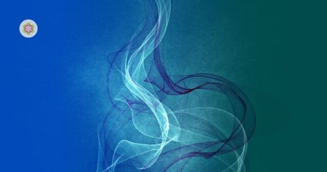 Volwassen Indigo’s