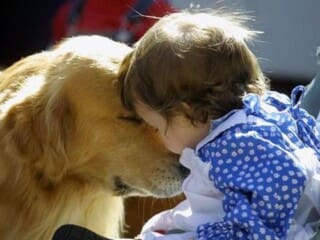 hoogsensitief kind en dier