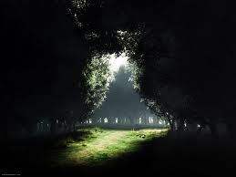 licht donker licht donker