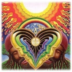 open-mind