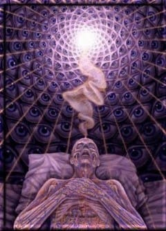 Nieuwetijdskind.com-Dimethyltryptamine-Dromen