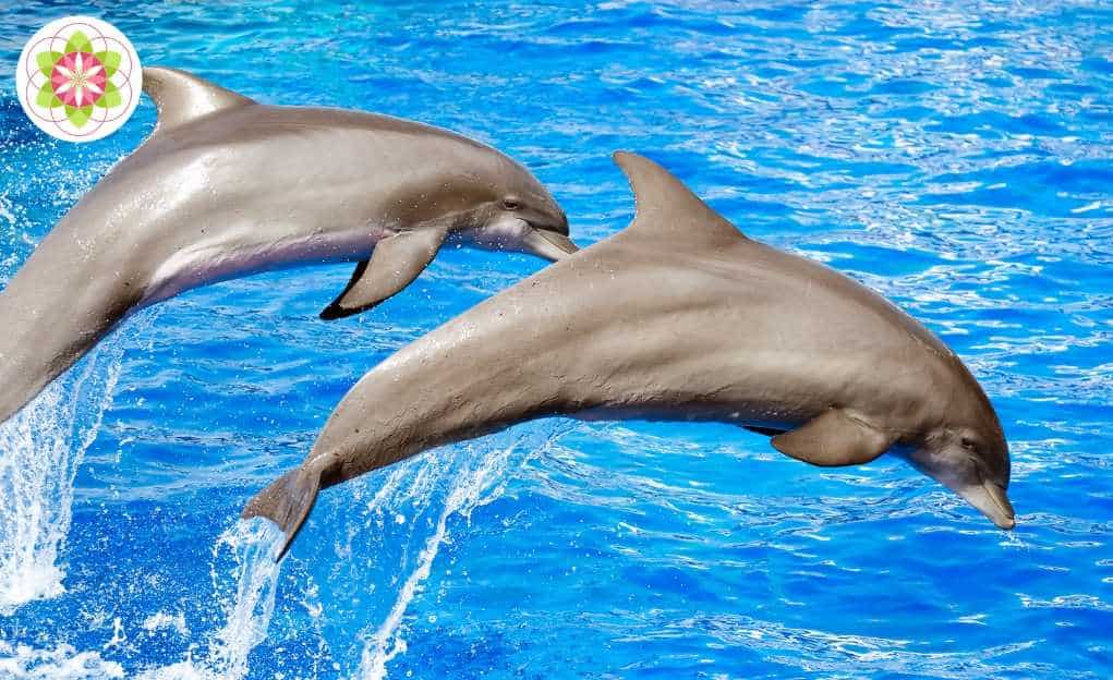 Tweelingzielen: onvoorwaardelijke 5D liefde