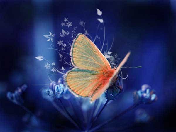 nieuwetijdskind waarom