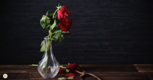 Hooggevoeligheid en trauma