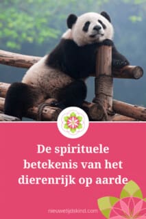 De spirituele betekenis van het dierenrijk op aarde