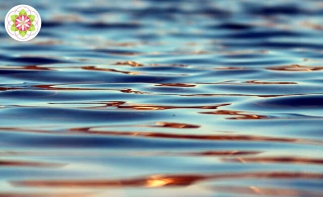 Elaine Aron over hoogsensitiviteit