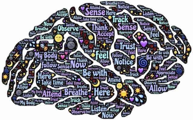 geen zin meer in mediteren-meditatie