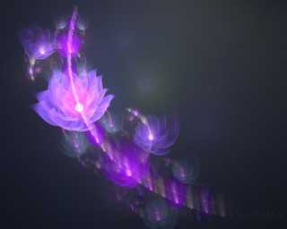 nieuwetijdskind.com-zielsplan