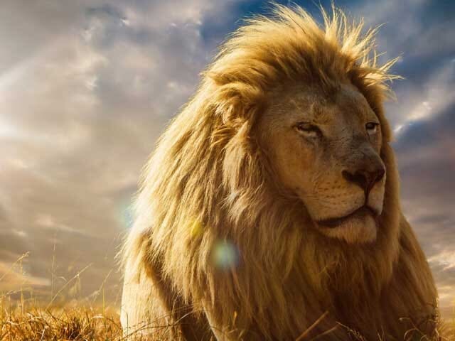 4 sleutels om helemaal in je kracht te staan met je sensitiviteit