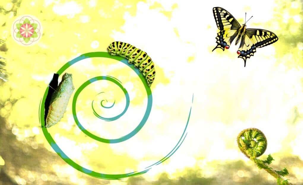 3 manieren om met de pijn van het leven om te gaan