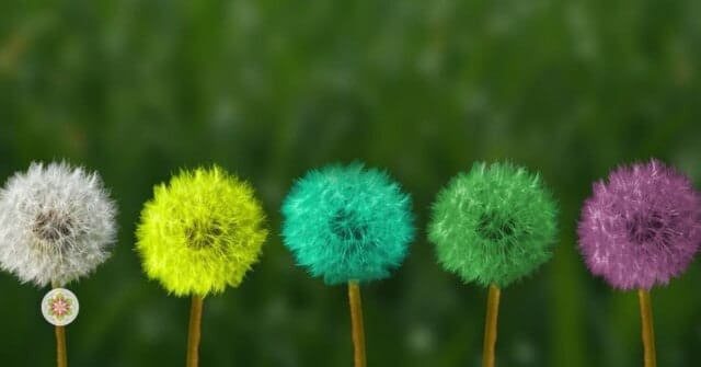 5 stappen om eenvoudig af te stemmen op je intuitie