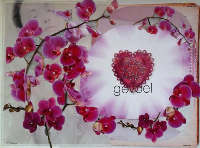 Jezelf accepteren brengt liefde in de wereld