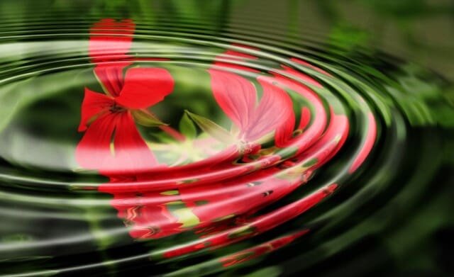 Verminder je stress met de psoas, de spier van de ziel