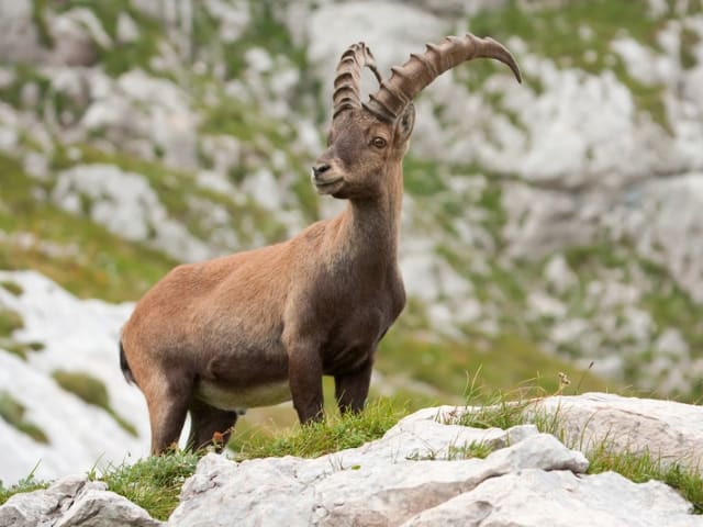 Kosmisch Weerbericht: Ommekeer, de grote conjunctie