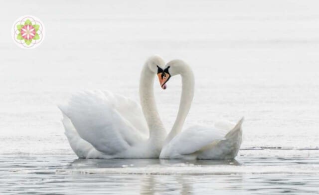 De ziel zoekt zijn weg naar verbinding en liefde