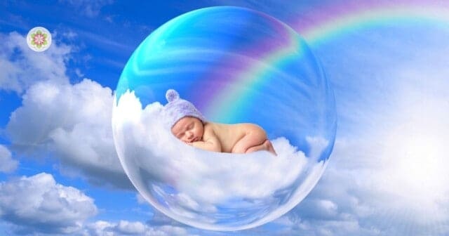 Incarnatie: reisverslag van een ziel