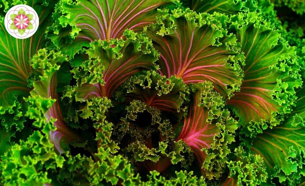 Deze voedselveranderingen treden op wanneer je spiritueel ontwaakt