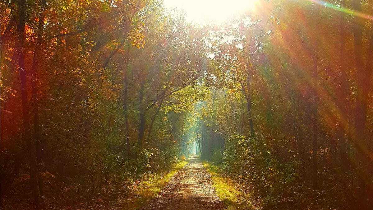 intentie en aandacht