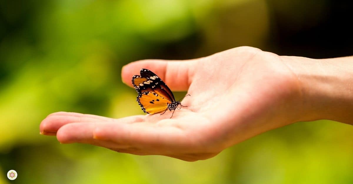 Ondernemen vanuit het hart, durf jij het al uit te dragen?