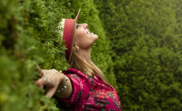 Wet van de Aantrekkingskracht