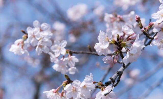 Doorbreek de ‘Circle of Life’ en blijf continu verliefd