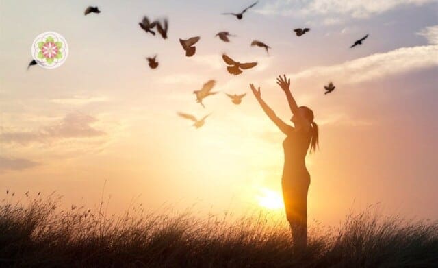 Leer de traditionele Hawaiiaanse beoefening van vergeving begrijpen.