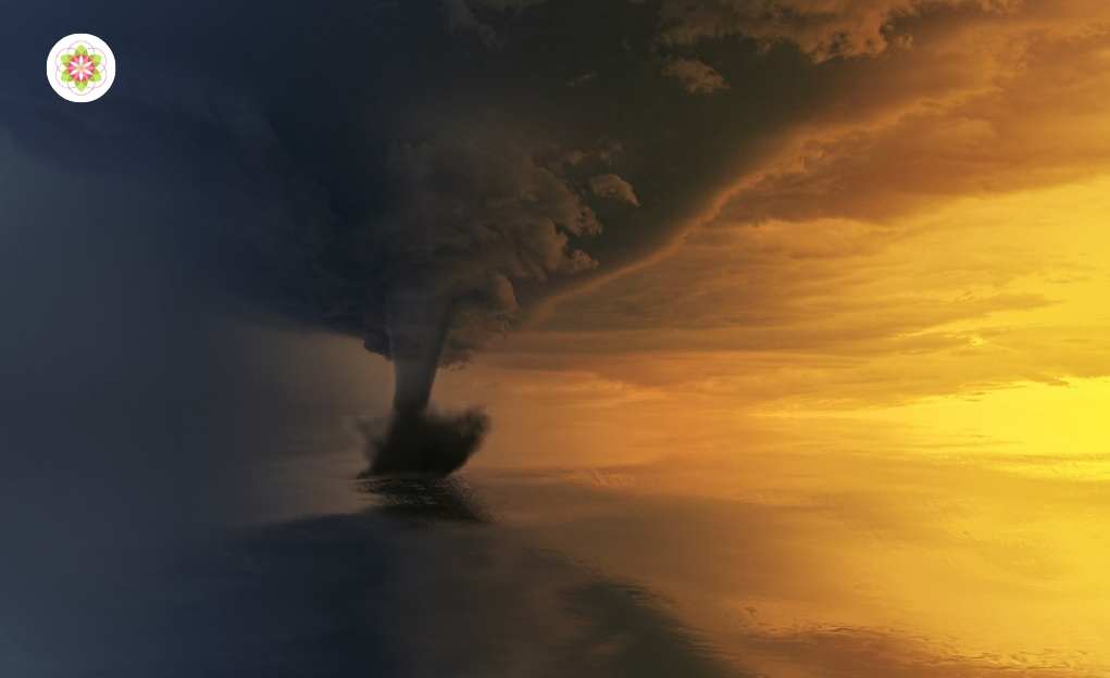 Herstel van eenheid in je leven: Volle Maan 15 augustus 2019