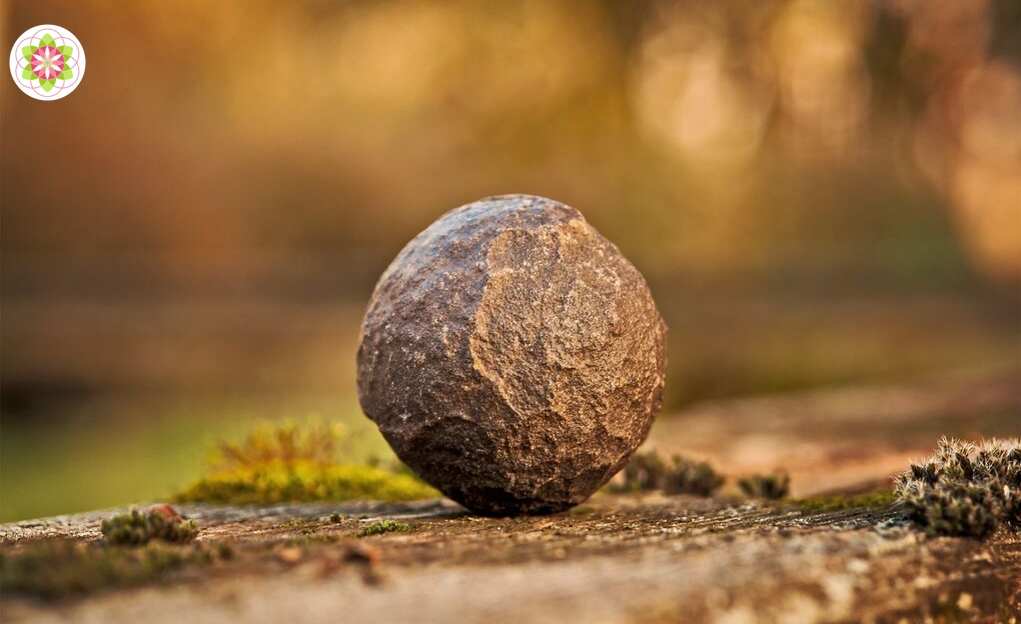 Kunnen we de aarde genezen