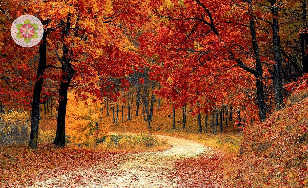 De invloeden van de Volle Maan in Stier van dinsdag 12 november 2019