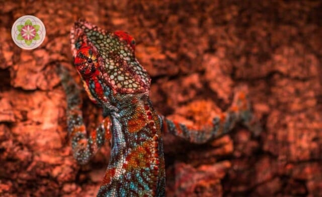 Waarom hooggevoelige mensen zichzelf zo makkelijk kwijtraken