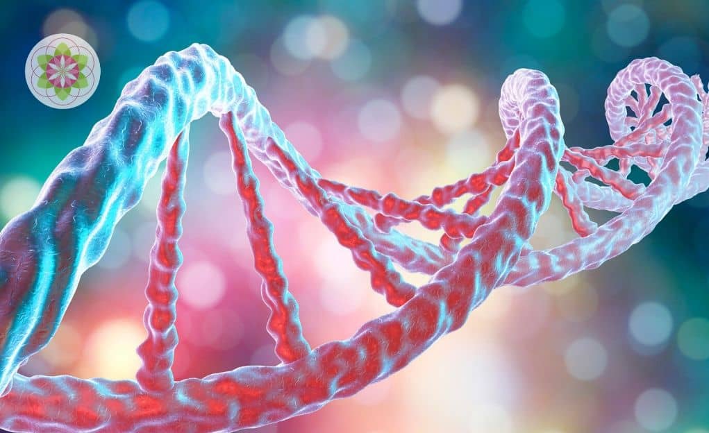 Lemuriaans bewustzijn in ons DNA