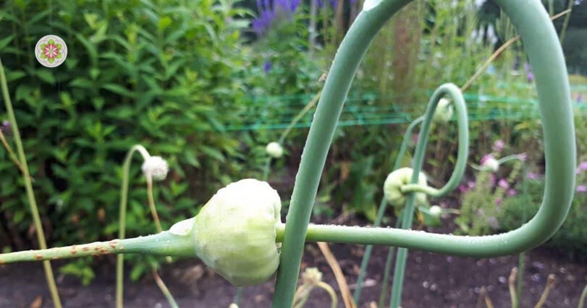 Het veranderende tijdperk