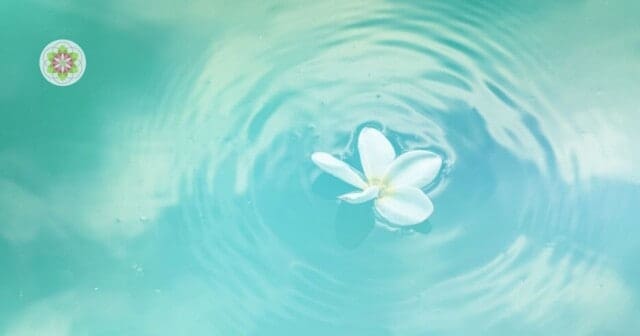 Jezelf zijn een worsteling