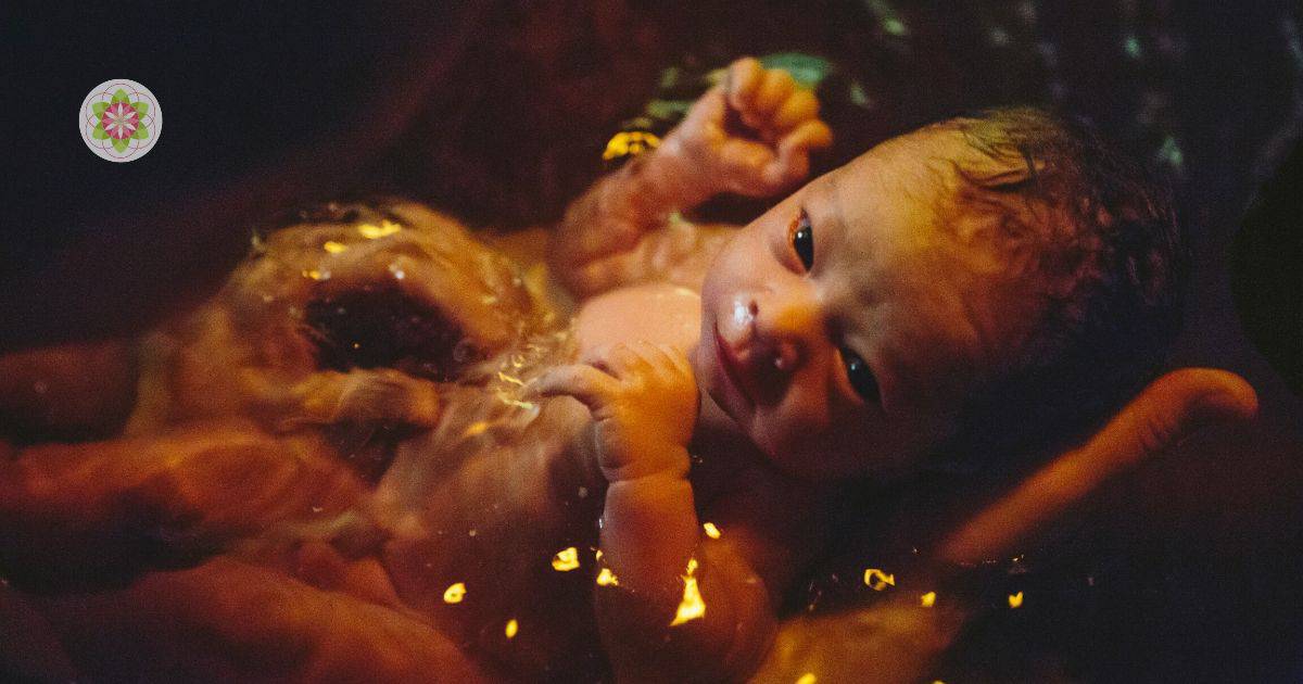 De invloed van je geboorte op de rest van je leven