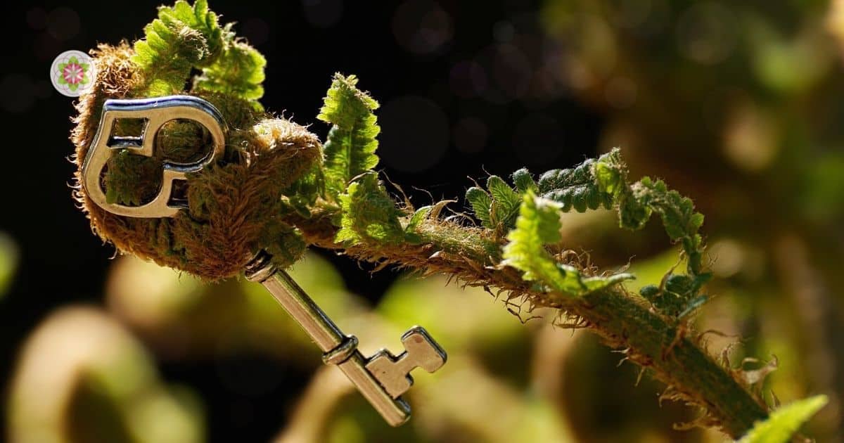 volle Maan 9 maart 2020