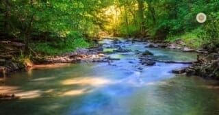 Tijd doorbrengen in de natuur