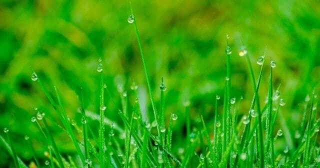 staan voor je waarheid