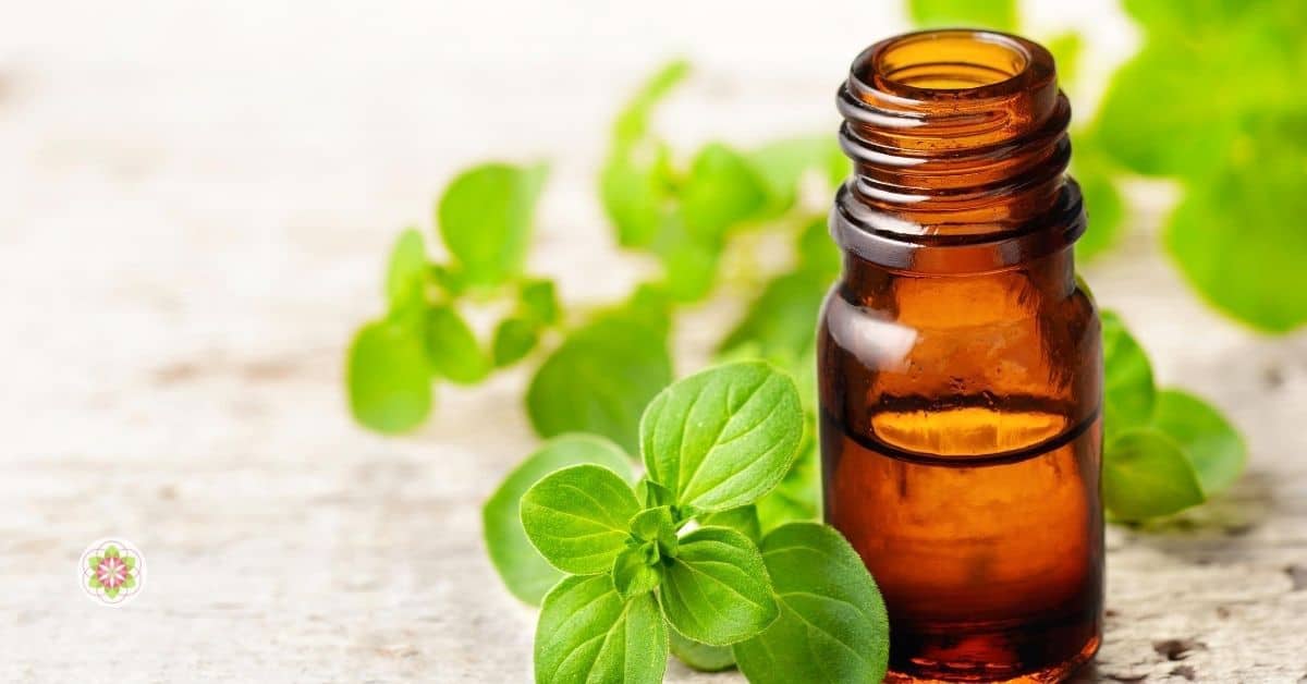 Oregano-olie