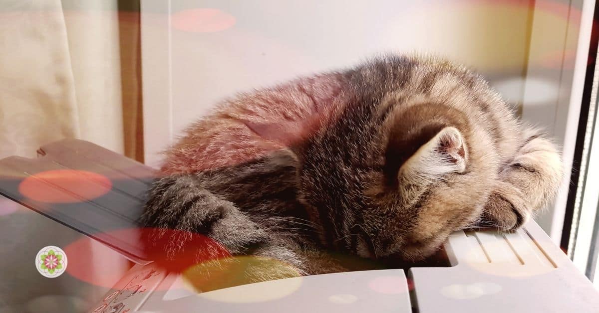 ongezond werk en school voor 10 uur starten