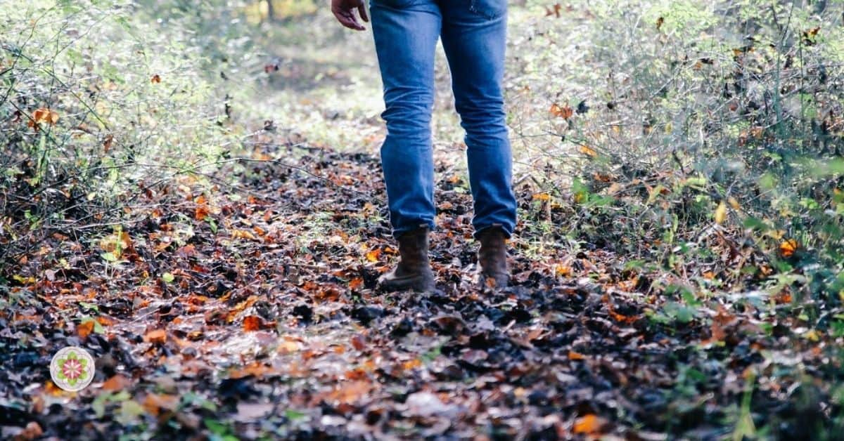 Bindingsangst en wat de Kwetsbare Godinnen je kunnen leren