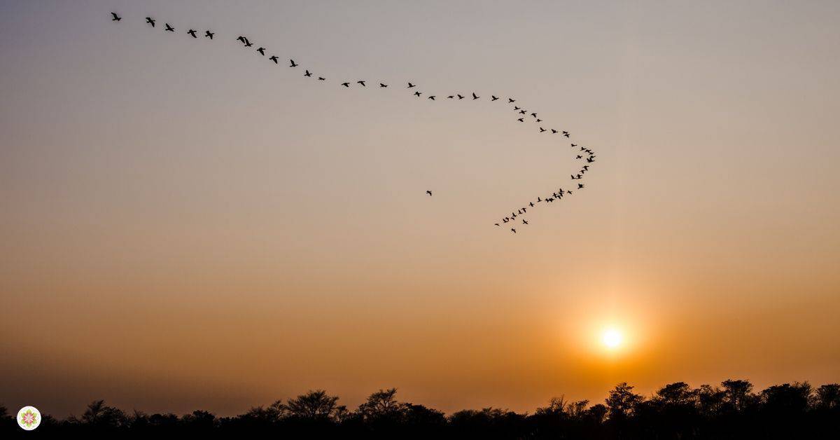 terugkeer van Saturnus