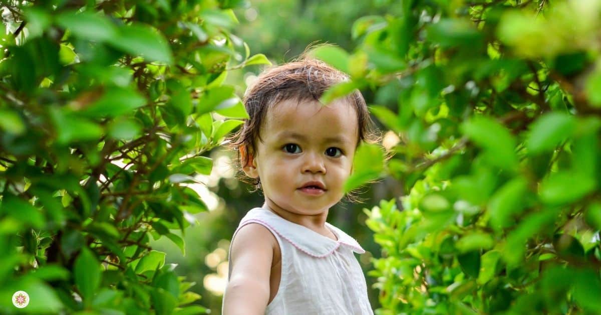 sterrenkind lichtgehalte