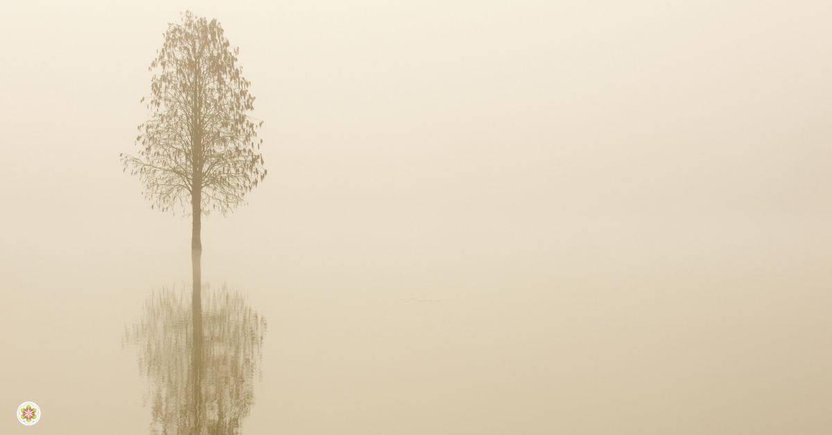 Volgens wetenschap is stilte van levensbelang voor ons brein
