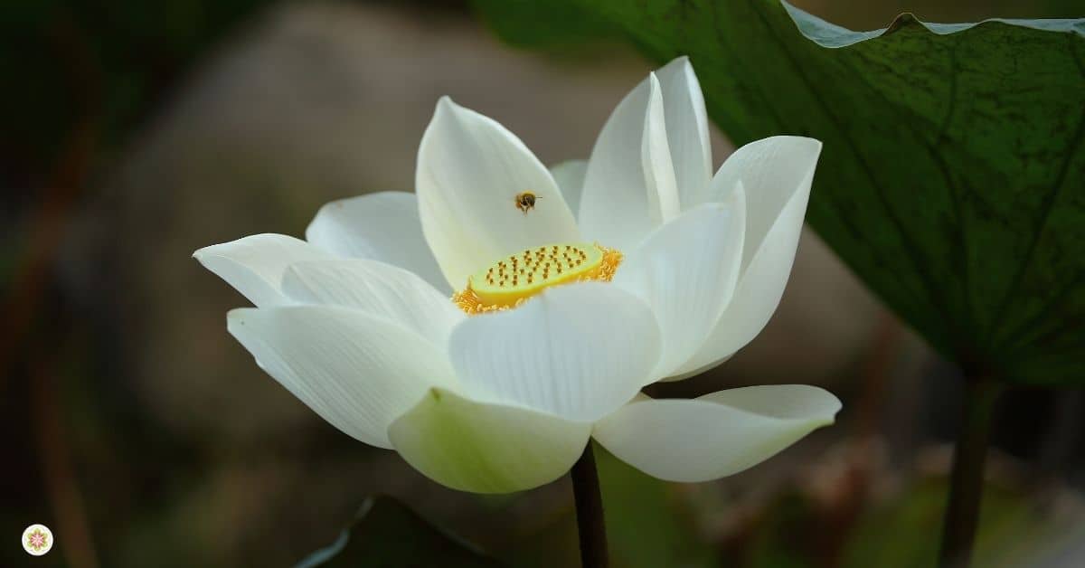 vrienden verloren door je spirituele ontwaking