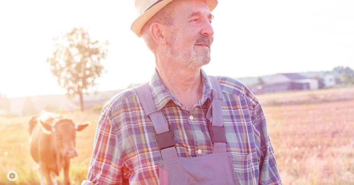 De ontwikkeling van de mensheid