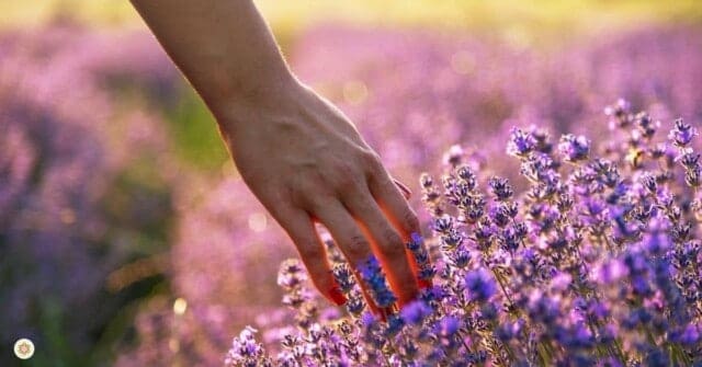 Hooggevoelig zijn zonder er last van te hebben