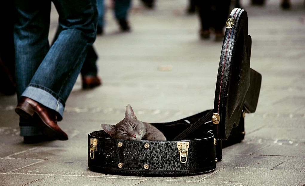 Hoeveel geld 'moet' ik weggeven? - Nieuwetijds