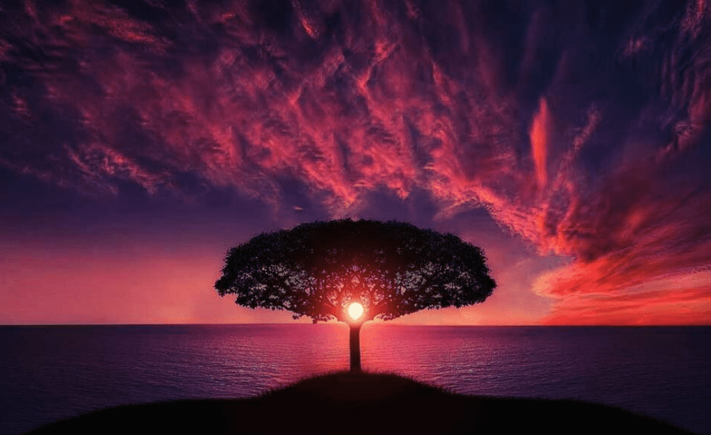 Ben jij een Nieuwetijdskind - hemel op aarde